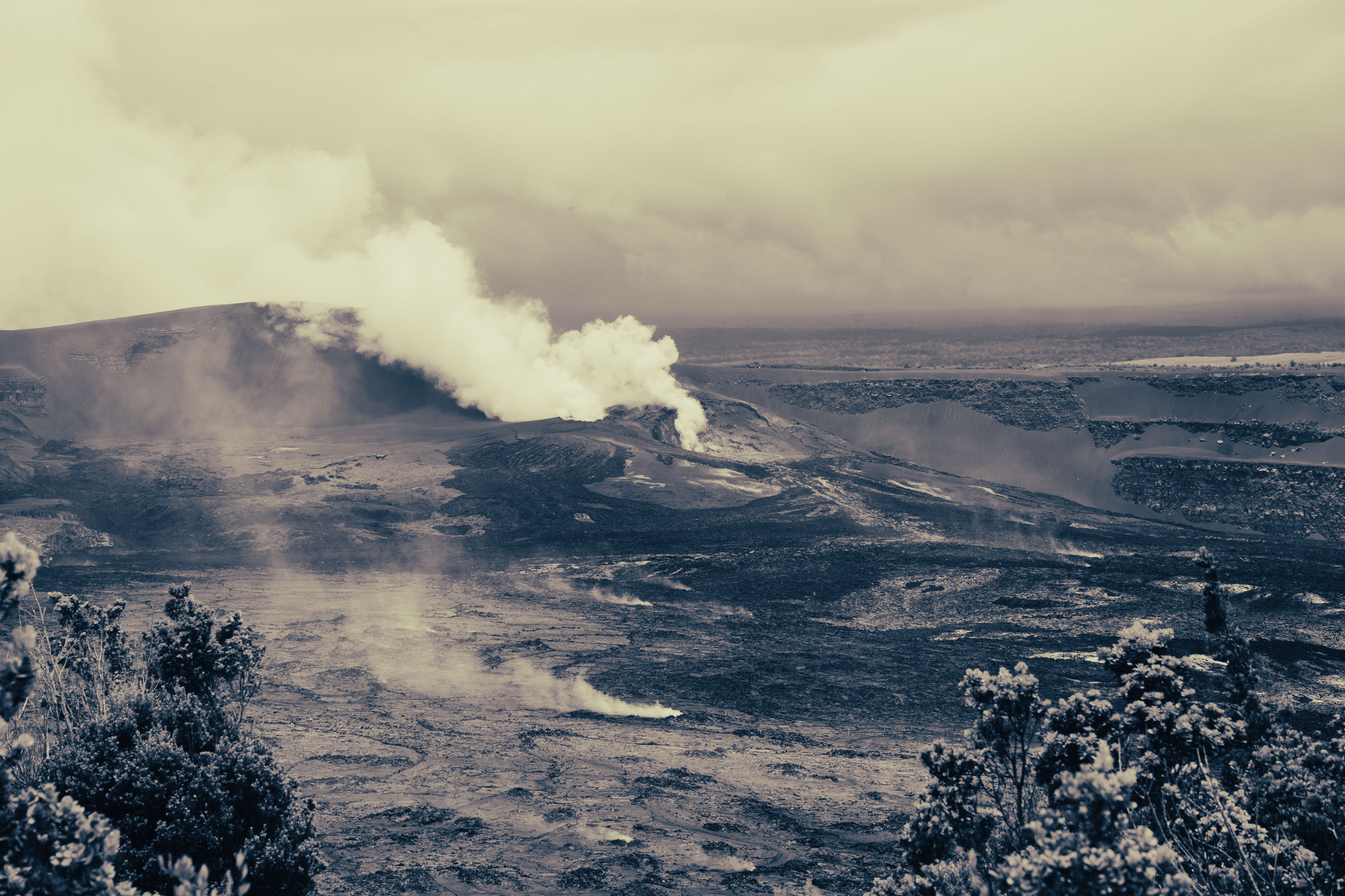 Photograph 10
