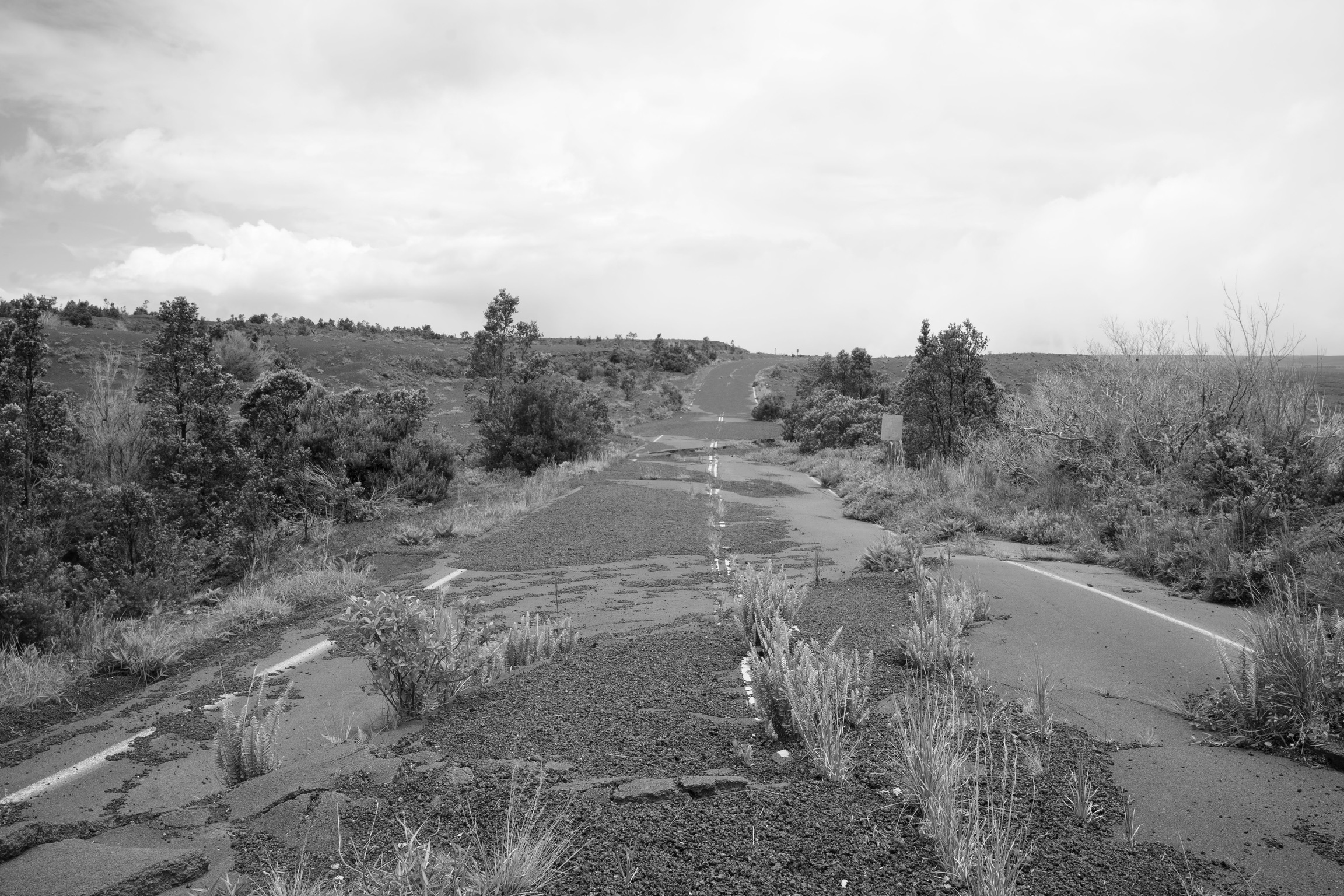 Photograph 7
