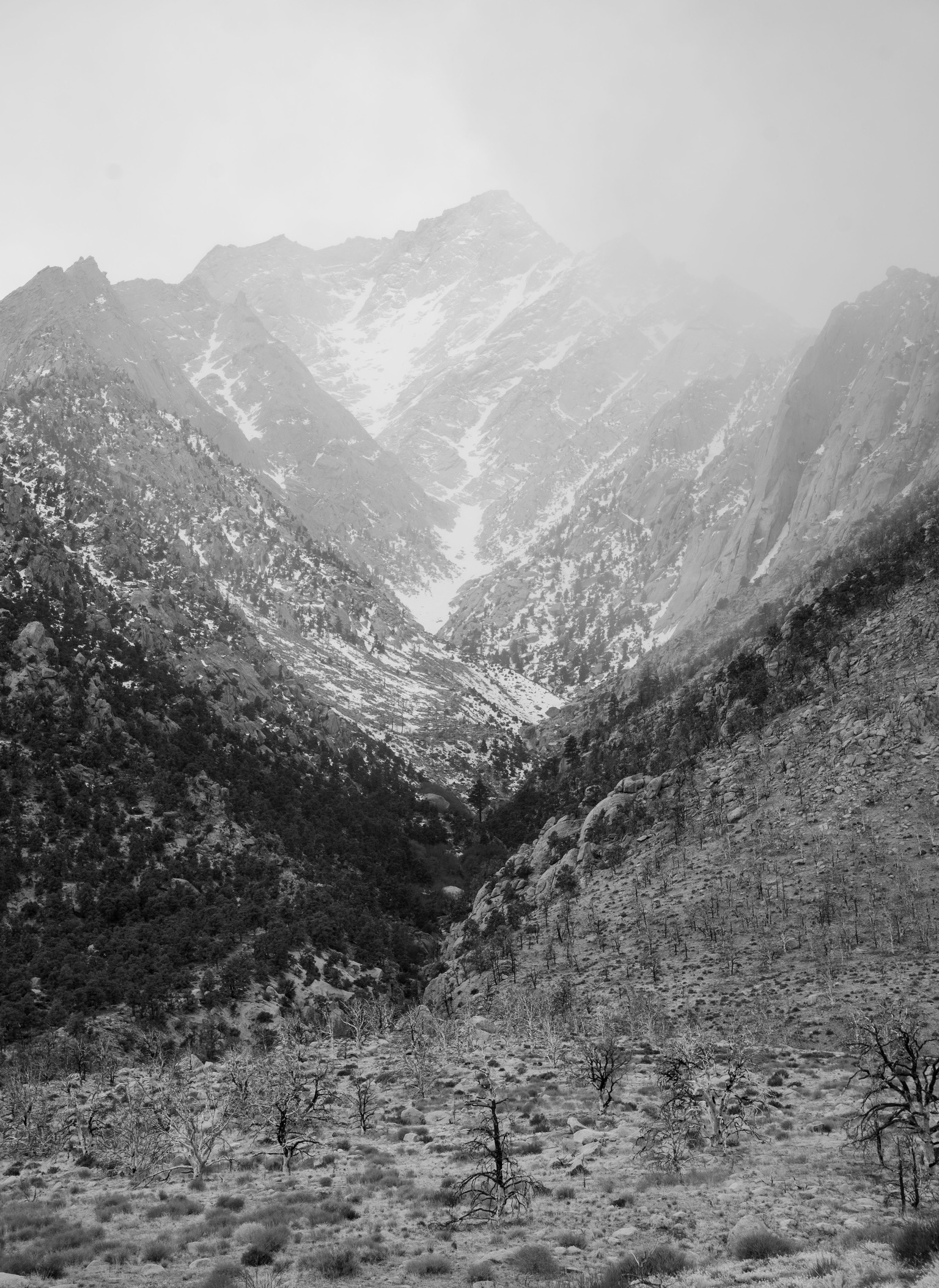 Photograph 5